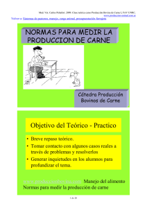 Normas para medir la producci&oacute;n de carne