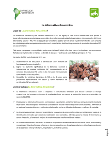 La Alternativa Amazónica
