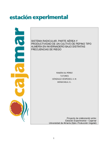 SISTEMA RADICULAR, PARTE AÉREA Y PRODUCTIVIDAD DE UN