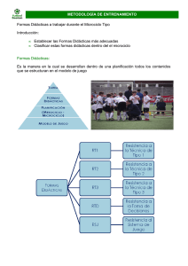 Metodología de entrenamiento.