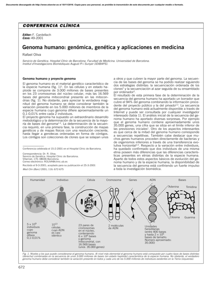 Genoma Humano Genómica Genética Y Aplicaciones En Medicina 5445