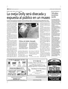 La oveja Dolly será disecada y expuesta al público en un museo