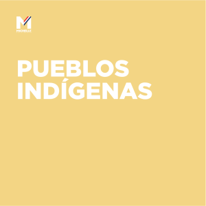 Pueblos Indígenas - Michelle Bachelet