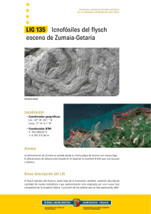 LIG 135 Icnofósiles del flysch eoceno de Zumaia