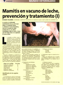 La mamitis en el vacuno de leche. Prevención y tratamientos (I)