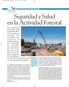 Seguridad y Salud en la Actividad Forestal