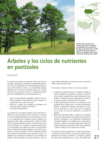 Árboles y los ciclos de nutrientes en pastizales