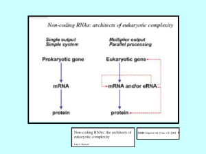 Presentación de PowerPoint - Biología Molecular = Genética