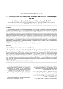 La embriog&eacute;nesis som&aacute;tica como elemento central de la