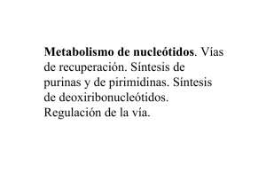 Metabolismo de nucleótidos. Vías de recuperación. Síntesis de