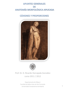 Anatom&iacute;a Morfol&oacute;gica: C&aacute;nones y Proporciones en el Arte