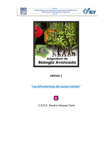 &ldquo;Las Articulaciones C.D.E.E. Sandr UNIDAD 2 rticulaciones del