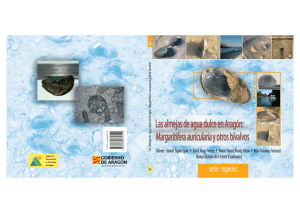 Las almejas de agua dulce en Aragón:Margaritifera auricularia y