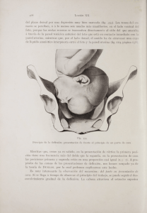 de líquido amniótico interpuesta entre el feto y la pared uterina (fig