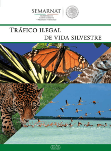 Tráfico ilegal de vida silvestre - Ingresar Módulos Janium