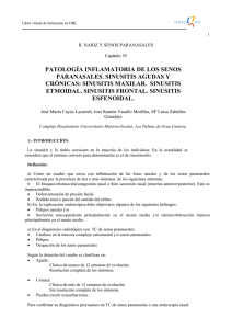 patología inflamatoria de los senos paranasales. sinusitis