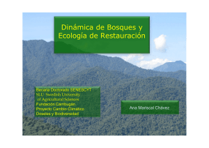 Dinámica de Bosques y Ecología de restauración Julio 9 2011
