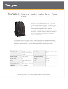 TSB71003US| Backpack - Mochila modelo Ascend Figura Panel,