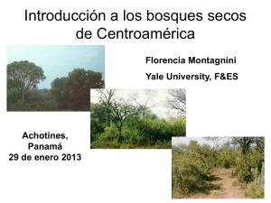 Introducción a los bosques secos de Centroamérica