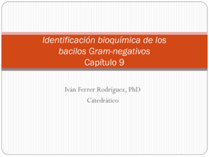 Identificación bioquímica de los bacilos Gram