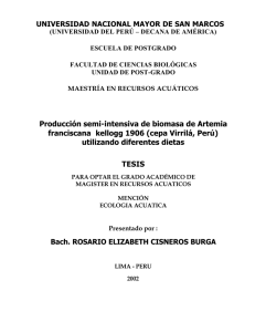 Producción semi-intensiva de biomasa de Artemia
