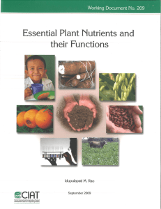 essential_plant_nutrients