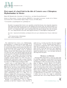 First report of a hard fruit in the diet of Centurio senex (Chiroptera