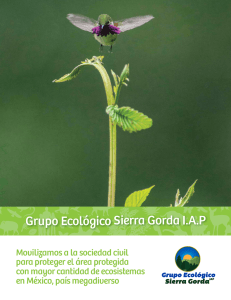 Descarga el kit de prensa - Grupo Ecológico Sierra Gorda IAP