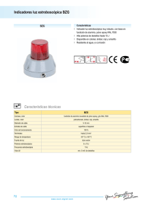 Indicadores luz estroboscópica BZG Características técnicas