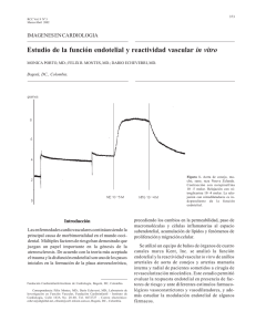 Estudio de la función endotelial y reactividad