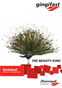 THE BEAUTY KING Technical