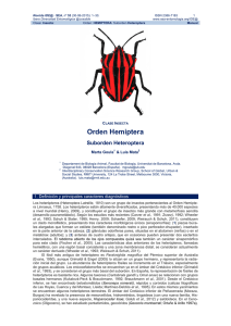Orden Hemiptera - Sociedad Entomológica Aragonesa
