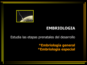 EmbriologÃa_tejidos..