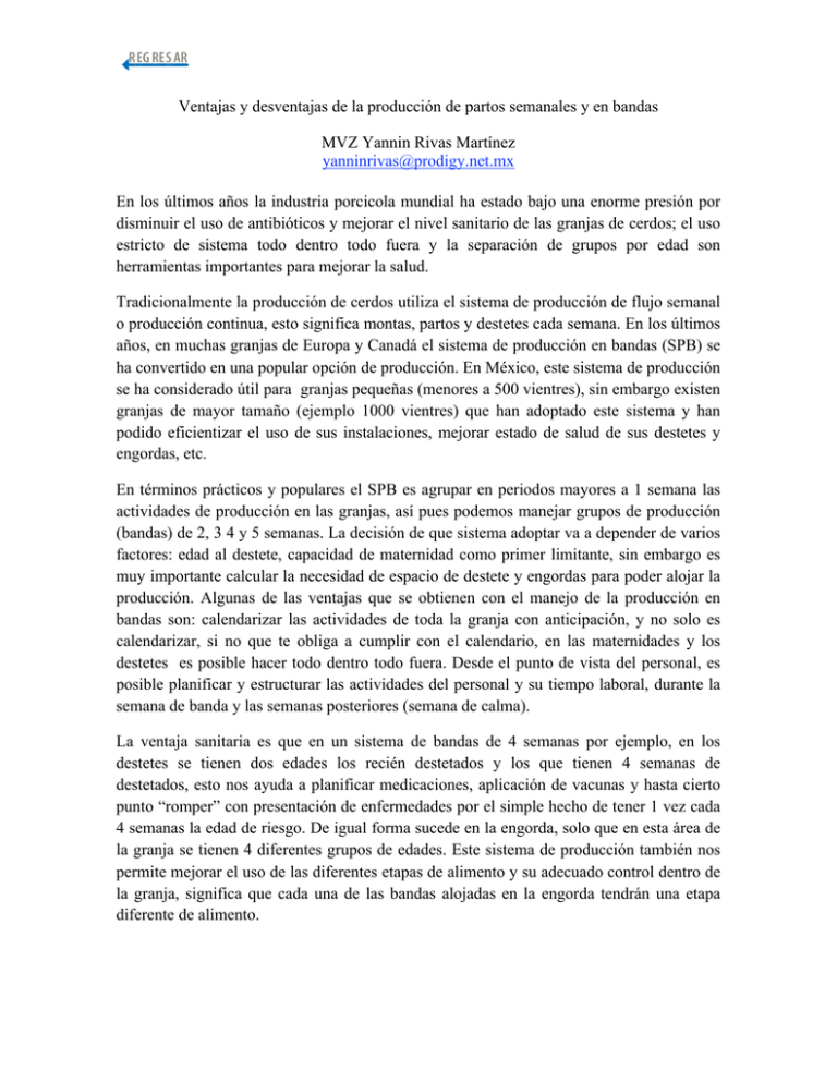 Ventajas Y Desventajas De La Producci n De Partos