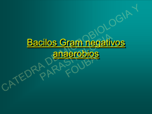 Bacilos Gram negativos anaerobios - Facultad de Odontología