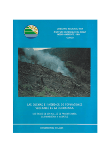 las quemas e incendios de formaciones vegetales en la región inka