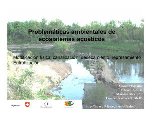 Problemáticas ambientales de ecosistemas acuáticos