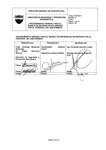 Page 1 DIRECCIÓN GENERAL DE AVIACIÓN CIVIL código PGSSE