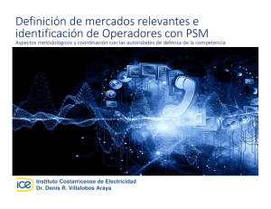 Definici&oacute;n de mercados relevantes e identificaci&oacute;n de Operadores