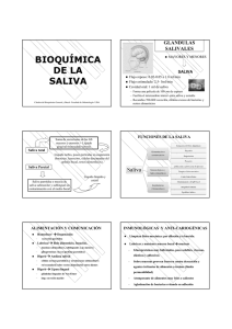 Bioquímica de la saliva- Citación 32 - Facultad de Odontología
