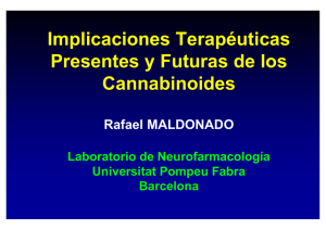 Implicaciones Terapéuticas Presentes y Futuras de los Cannabinoides