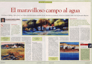 El maravilloso campo al agua