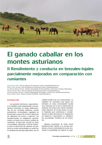 El ganado caballar en los montes asturianos