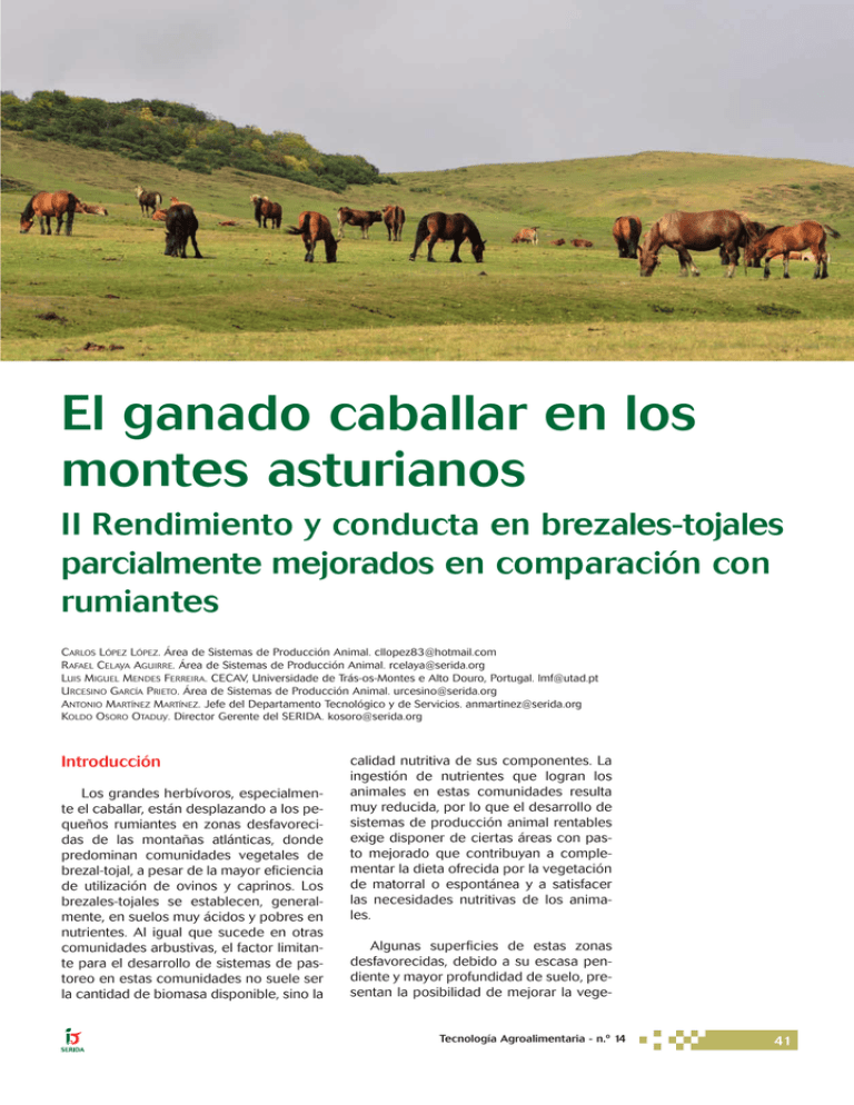 El Ganado Caballar En Los Montes Asturianos