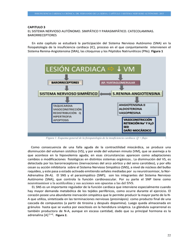 Insuficiencia Cardiaca Crónica Dr Fernando De La Serna Capítulo 2879