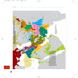 Mapa 8. Principales comunidades étnicas y religiosas de Asia