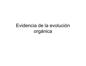 Evidencia de la evolución orgánica
