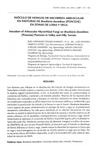 Inoculum of Arbuscular Mycorrhizal Fungi on Brachiaria decumbens
