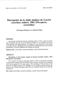 Descripción de la ninfa madura de Leuctra cazorlana Aubert, 1962