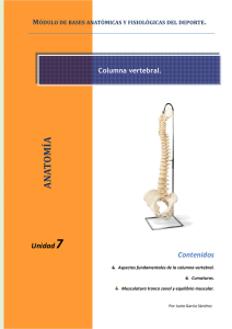 7. Columna vertebral